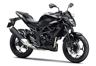 Kawasaki Z 250