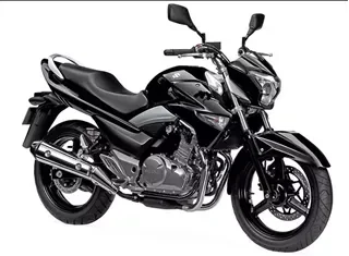 Suzuki Inazuma 250